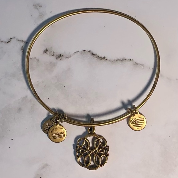 Endless Knot Alex and Ani 3D Charm Bracelet - Picture 1 of 1